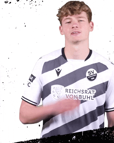 3Liga Wirechtanders GIF by SV Sandhausen