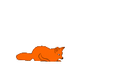 Animation Pounce Sticker by youmotion.com