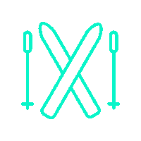 Ski-Green Sticker by fondation Sur la pointe des pieds