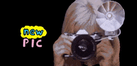 olesyakino photo photographer foto GIF