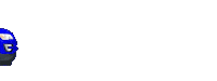 Car Vehicle Sticker by Delphi Technologies