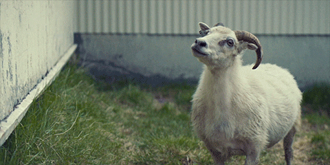 Farm Eating GIF by A24