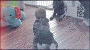 Music Video Soul GIF by Andy Grammer