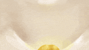 Art Eating GIF by colbay