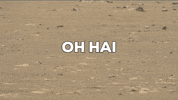 Red Planet Hello GIF by NASA