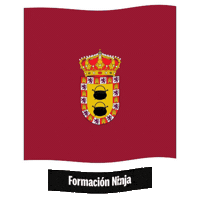 Castilla Y Leon Bandera Sticker by Formación Ninja