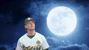 revere see you later GIF by GreenWave
