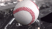 Metal Gear Solid Baseball GIF