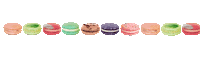 Macaron Sticker by Trophy Cupcakes