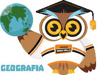 Presidente Prudente Owl Sticker by Braga Mello