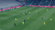 football asse GIF by AS Saint-Etienne