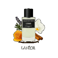Honing Yves Saint Laurent Sticker by Lanior