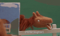 horse laughing GIF