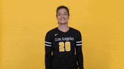 Cal State La Ncaa GIF by Cal State LA Golden Eagles