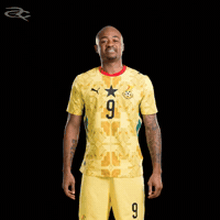 Fifa World Cup Ghana GIF by Respective