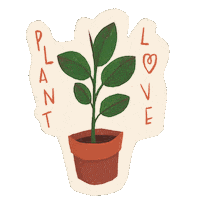 Rubber Plant Sticker