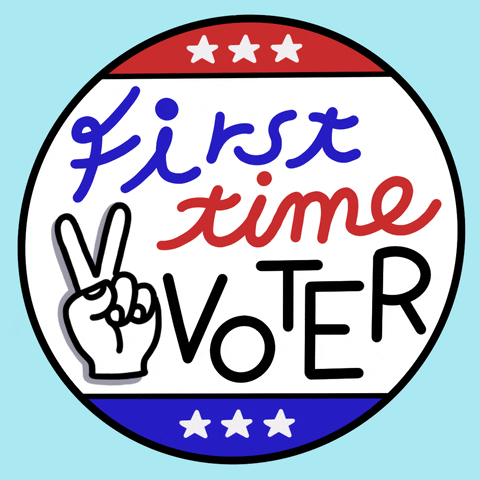 Election 2020 Go Vote GIF by Creative Courage