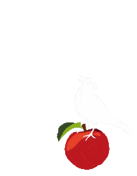 Aeblerov cider æblerov aeblerov lærkehøj Sticker