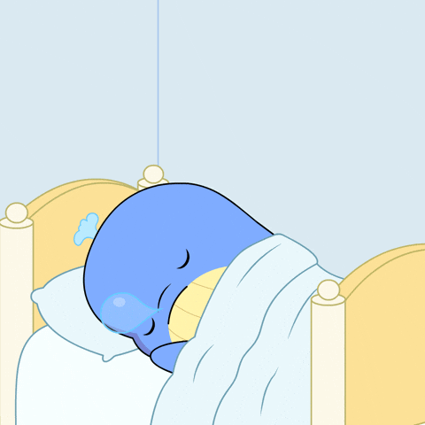 RichWhaleAlliance giphyupload sleep sleeping crash GIF