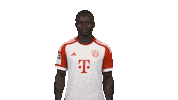 No Way Football Sticker by Bundesliga