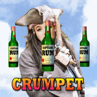 Pirate Captain GIF