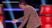 adam levine television GIF by The Voice