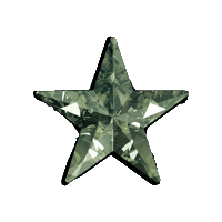 Star Collage Sticker