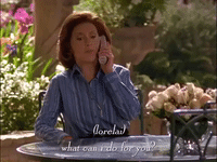 season 2 netflix GIF by Gilmore Girls 