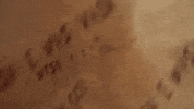 oh my god omg GIF by The Pretty Reckless