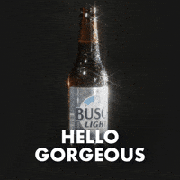 Busch Light GIF by Busch Beer