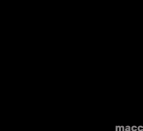 Macc GIF