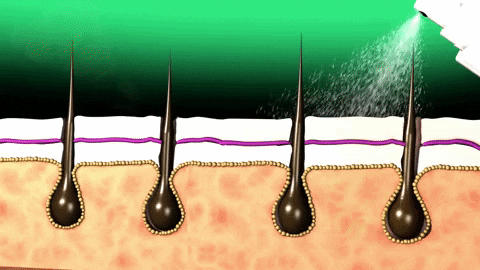 BestProducts2020 giphyupload GIF