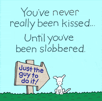 Kiss Me Love GIF by Chippy the Dog