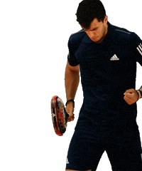 World Padel Tour Ale Sticker by adidas padel - All For Padel