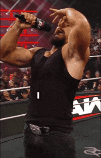 Seth Rollins Wwe GIF by Respective
