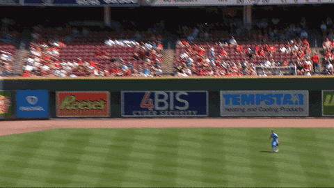 Blue Jays Baseball GIF by Toronto Blue Jays