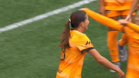 2025 GIF by National Women's Soccer League