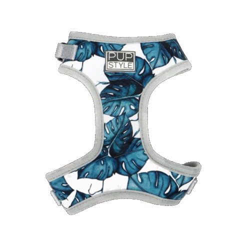 Dog Harness Sticker by Pupstyle