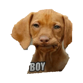 bruh STICKER by imoji