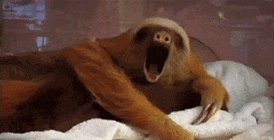 Video gif. Sloth lays on its side a white blanket and yawns slowly with its eyes barely open.