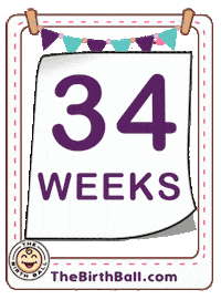 Ultrasound Expecting Sticker by The Birth Ball