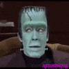 the munsters 60s movies GIF by absurdnoise