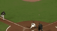 mlb GIF by SB Nation