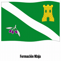 Flag Spain GIF by Formación Ninja