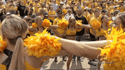 iowa hawkeyes football GIF by University of Iowa Hawkeyes Athletics