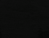 Breaking In Deer GIF by Wondeerful farm