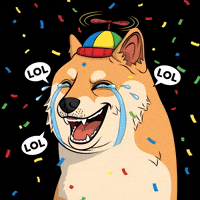 Happy Shiba Inu GIF by Doge Pound