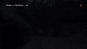 Friends GIF by CANAL+ Polska