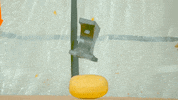 slow motion lol GIF by Guava Juice