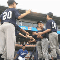 Baseball Oklahoma GIF by Tulsa Drillers